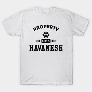 Havanese Dog - Property of a havanese T-Shirt